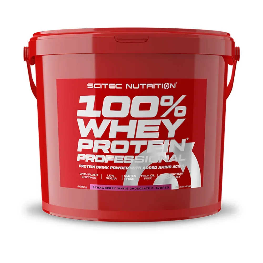 Scitec Nutrition 100% WP Professional 4000 g chocolate hazelnut