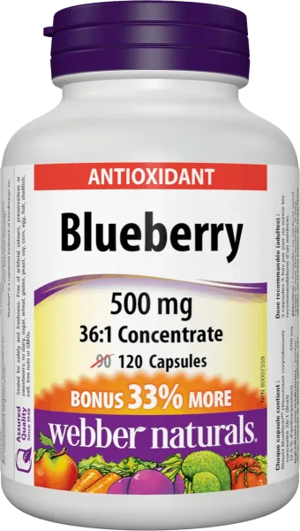 Webber Naturals Blueberry 500 mg 120 cps